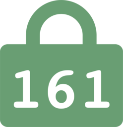 161 lock logo